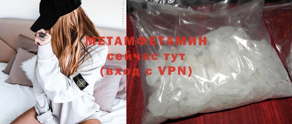 прущие грибы Кострома