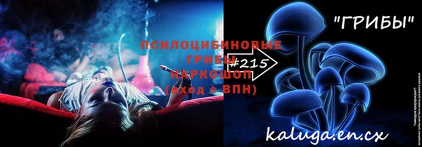 стаф Великий Новгород