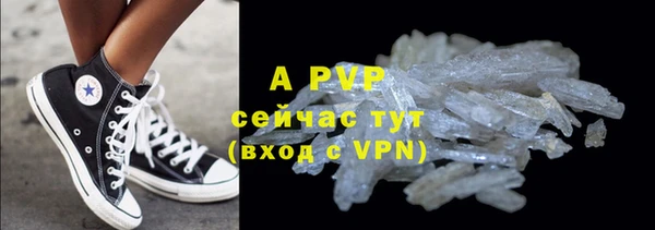 стаф Великий Новгород