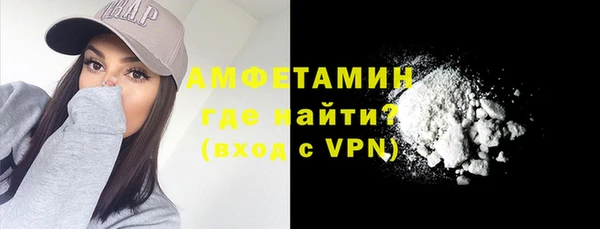 прущие грибы Кострома