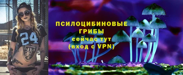 apvp Гусь-Хрустальный