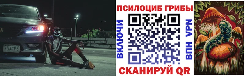Псилоцибиновые грибы мицелий Дубна
