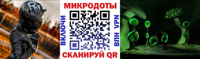 как найти закладки  Дубна  Псилоцибиновые грибы Psilocybine cubensis 