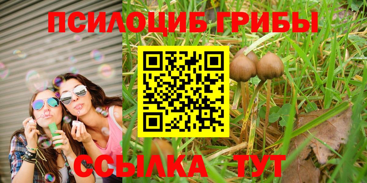 Дубна  купить наркотик  Вход с VPN  Псилоцибиновые грибы Magic Shrooms  Галлюциногенные грибы MAGIC MUSHROOMS 
