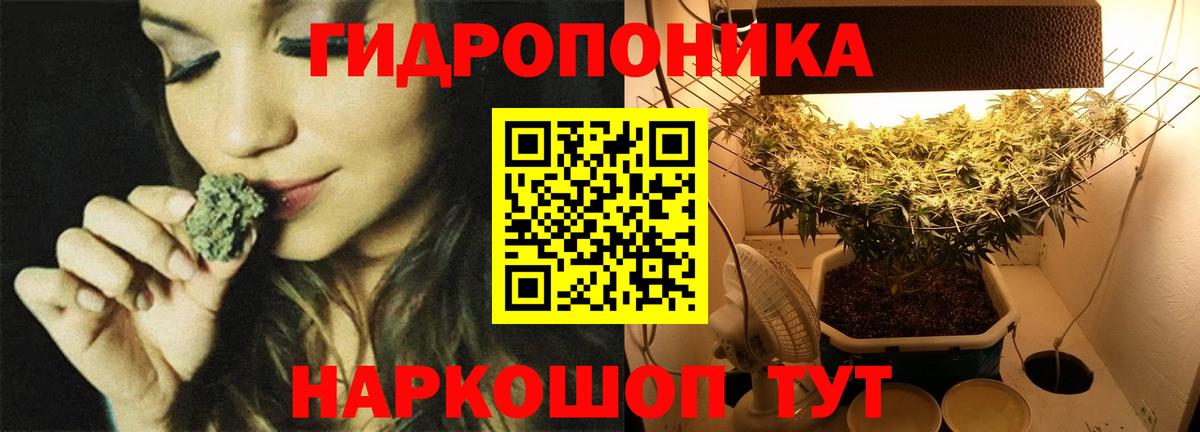 Бошки марихуана план Дубна